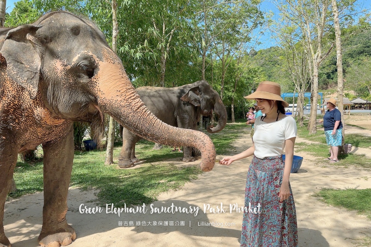延伸閱讀：泰國普吉島自由行：綠色大象保護區公園Green Elephant Sanctuary Park Phuket，餵大象吃東西、與大象洗泥巴浴，普吉島獨特的景點推薦